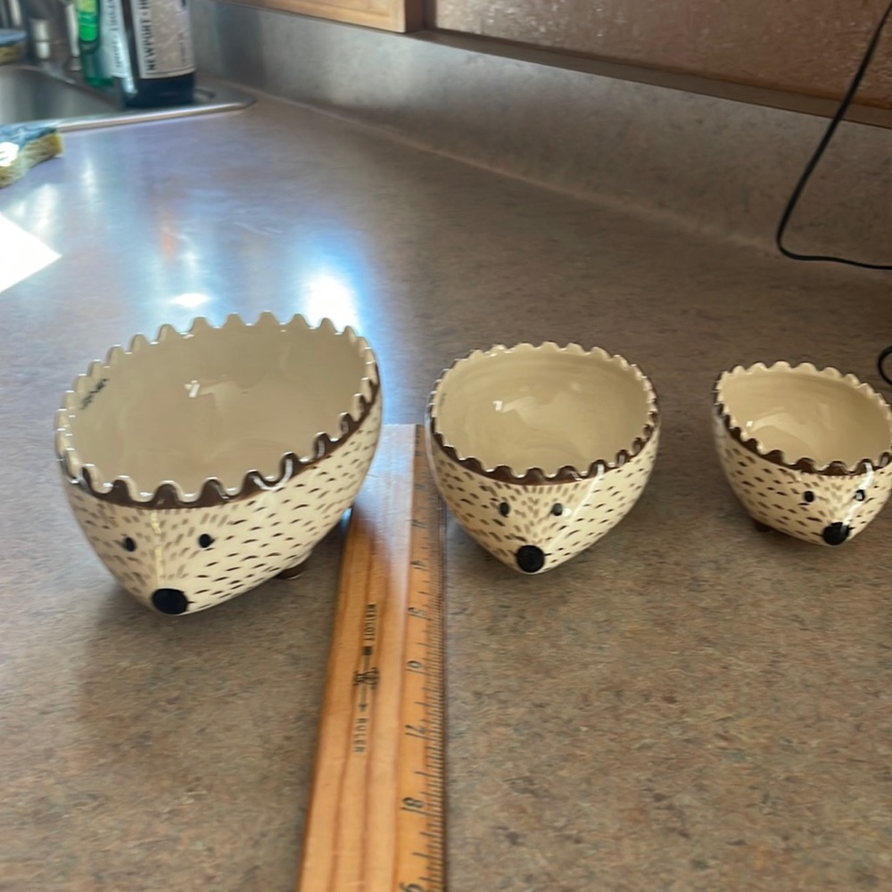 Hand painted Creative Co-op measuring cups